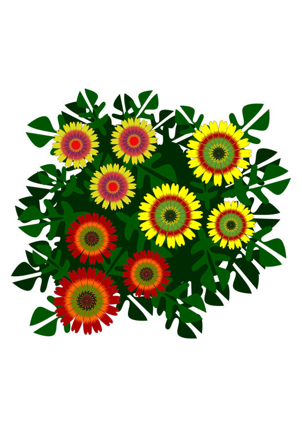 blumen Bild blumen