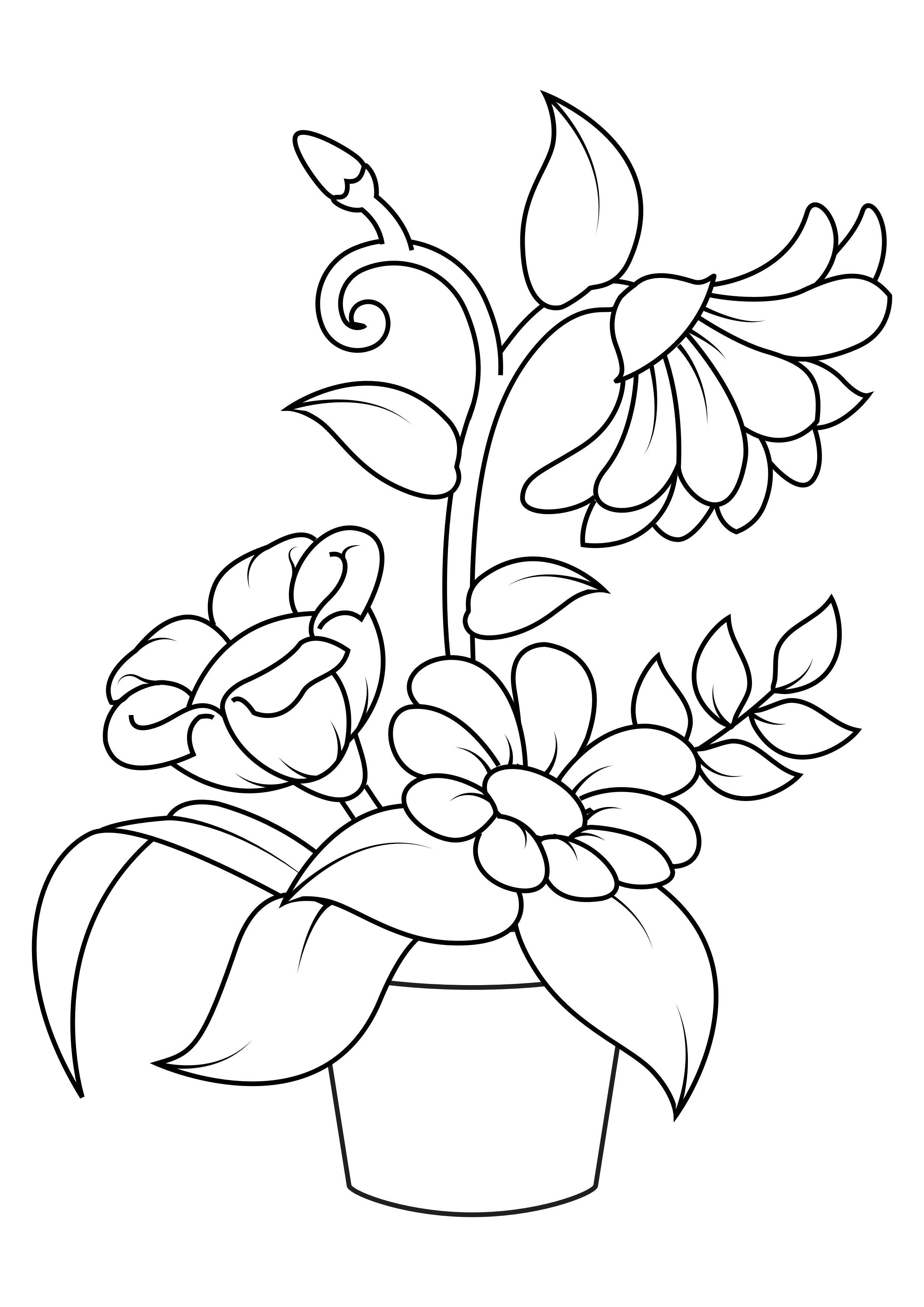 blumen Malvorlage blumen