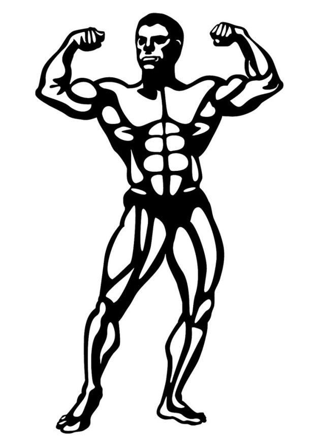body building Malvorlage body building