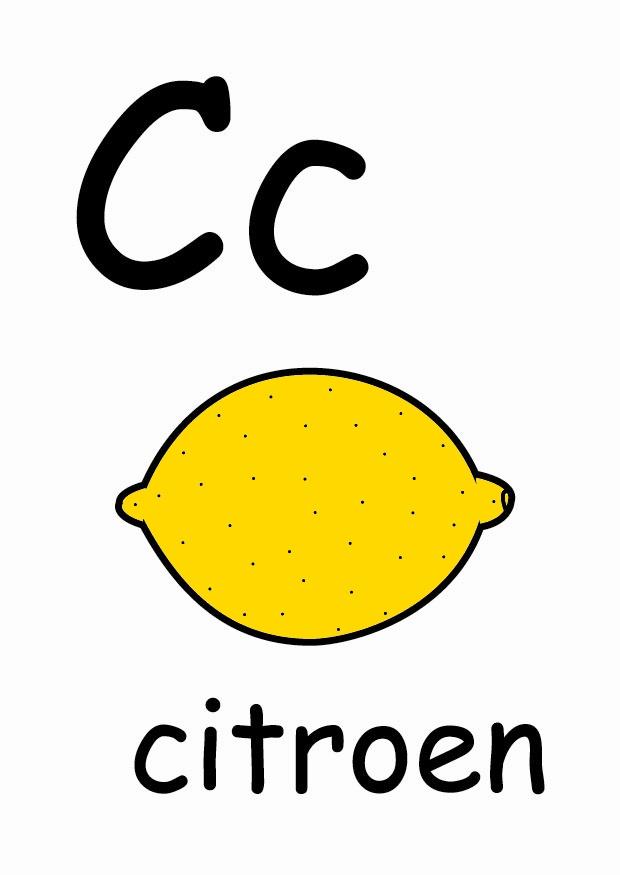 c Bild c