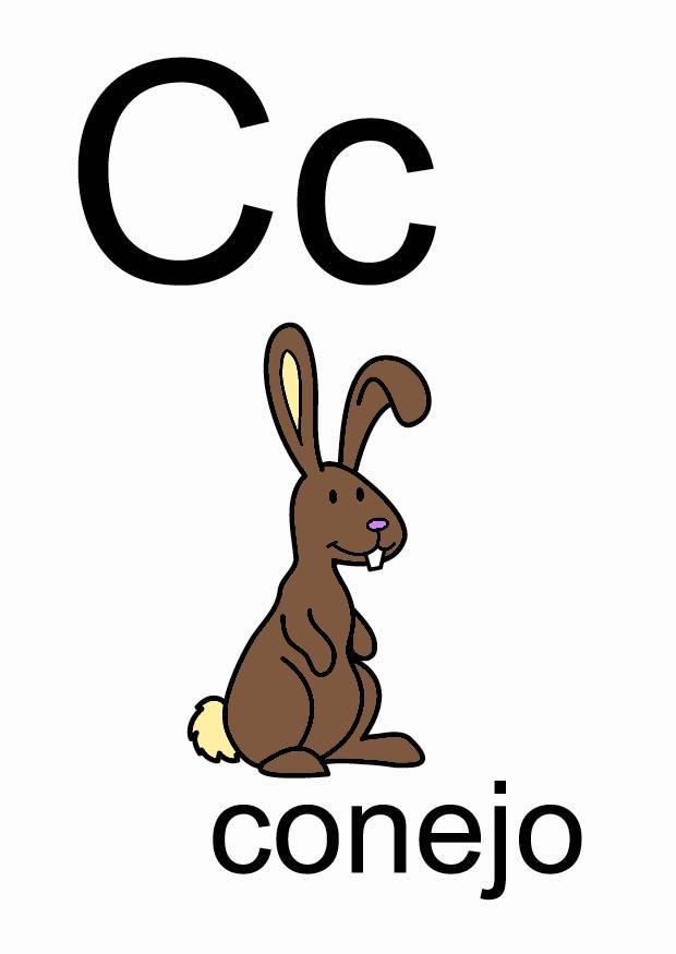 c Bild c