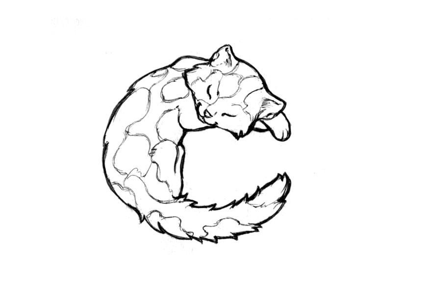 c-cat Malvorlage c-cat