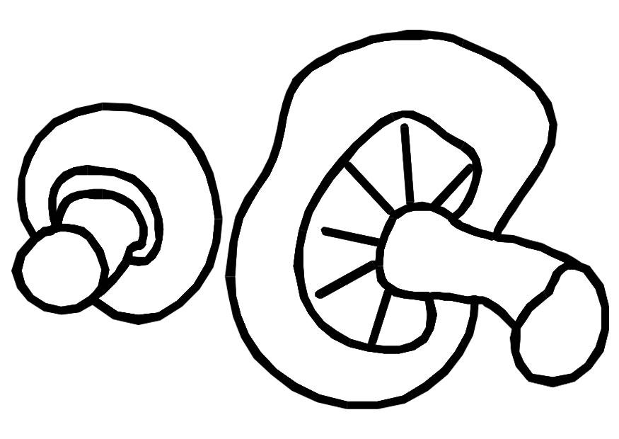 champignons Malvorlage champignons