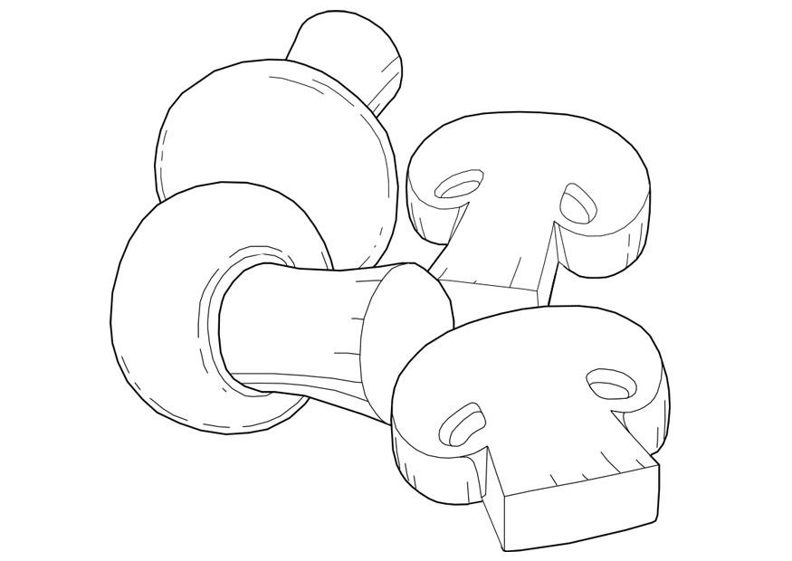champignons Malvorlage champignons