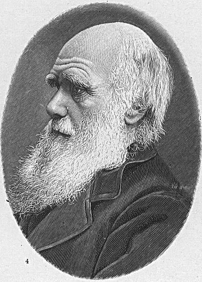 Malvorlage charles darwin