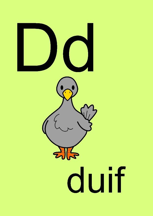 d Bild d