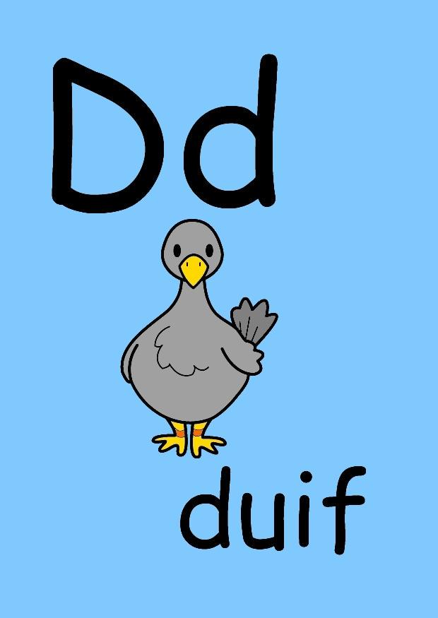 d Bild d
