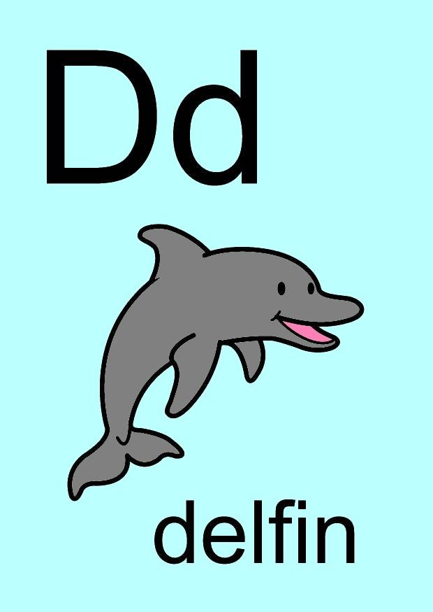 d Bild d