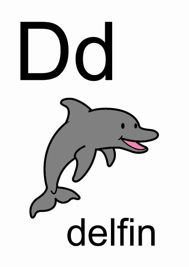 d Bild d
