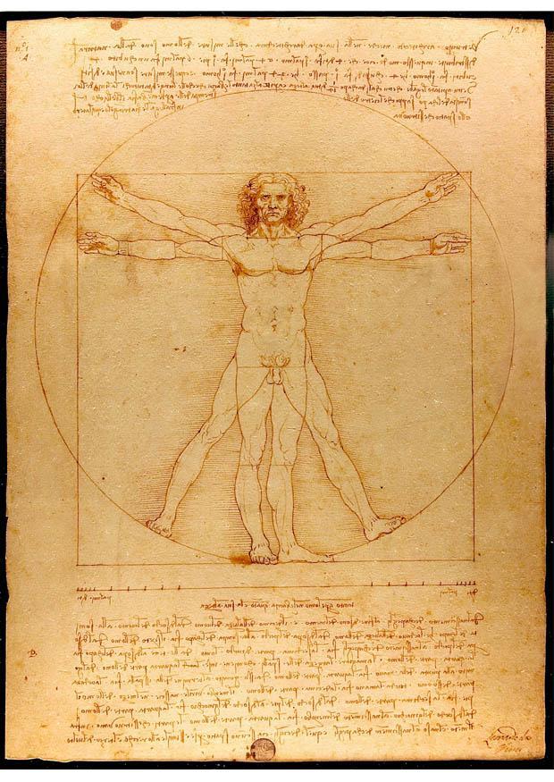 da vinci - vitruvius mann Bild da vinci - vitruvius mann