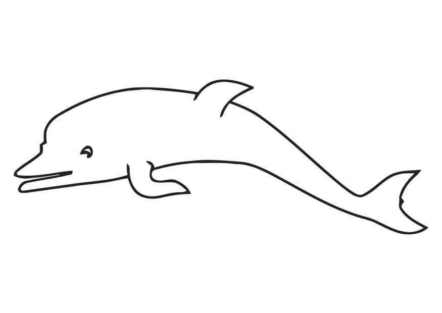 delphin Malvorlage delphin