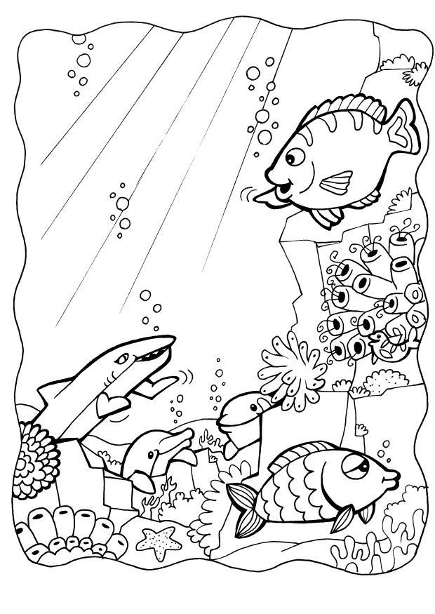 delphinen mit fische Malvorlage delphinen mit fische