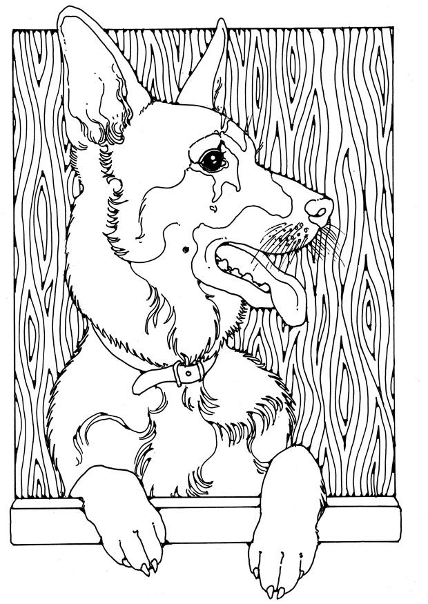 deutscher schA¤ferhund Malvorlage deutscher schA¤ferhund