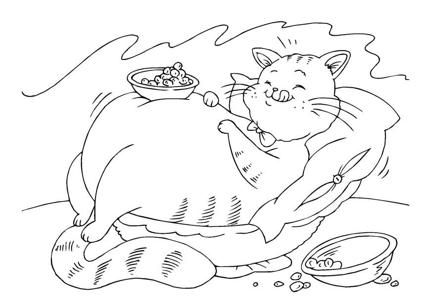 dicke katze Malvorlage dicke katze