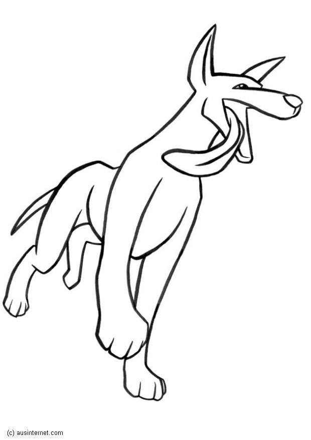 dingo Malvorlage dingo