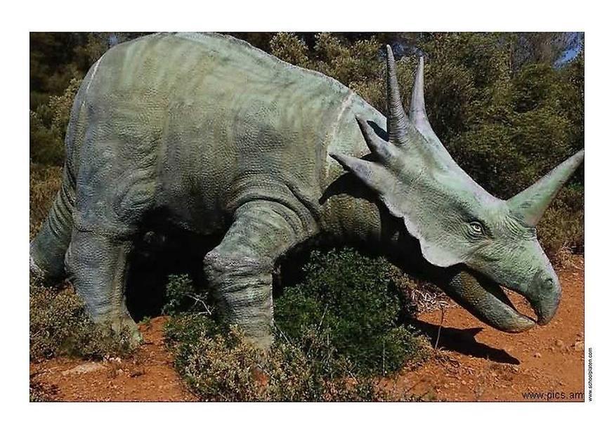 dinosaurier Foto dinosaurier
