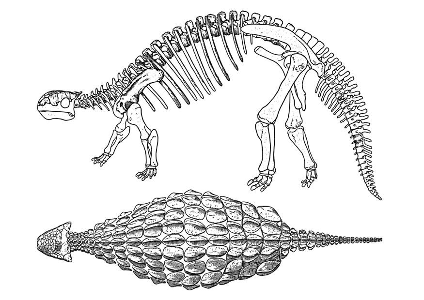 dinosaurier - ankylosaurus Malvorlage dinosaurier - ankylosaurus