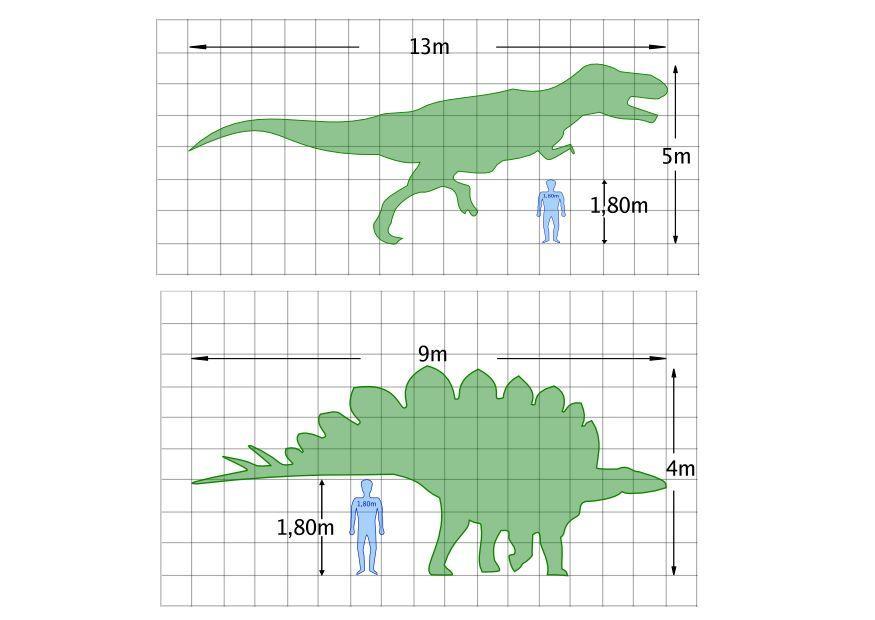 dinosaurus maAe Malvorlage dinosaurus maAe