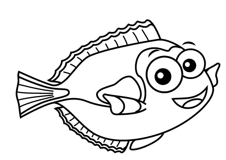 doktorfisch Malvorlage doktorfisch