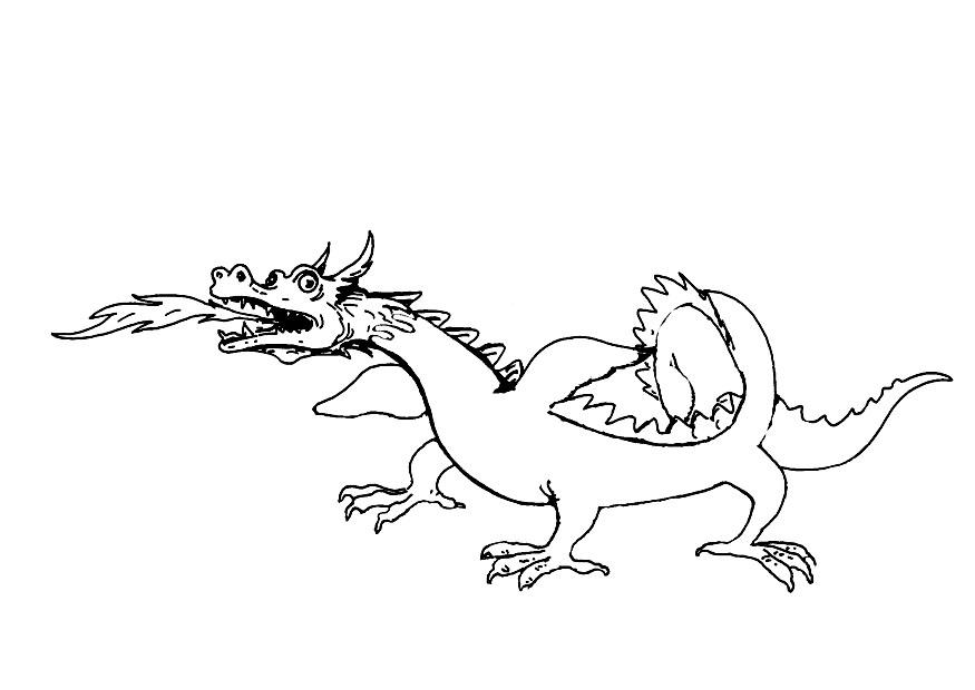 drache Malvorlage drache