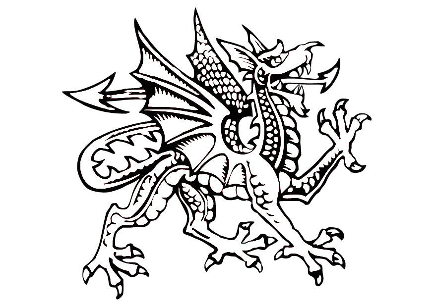 drache Malvorlage drache