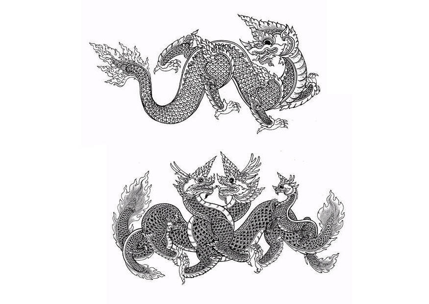 drachen Malvorlage drachen