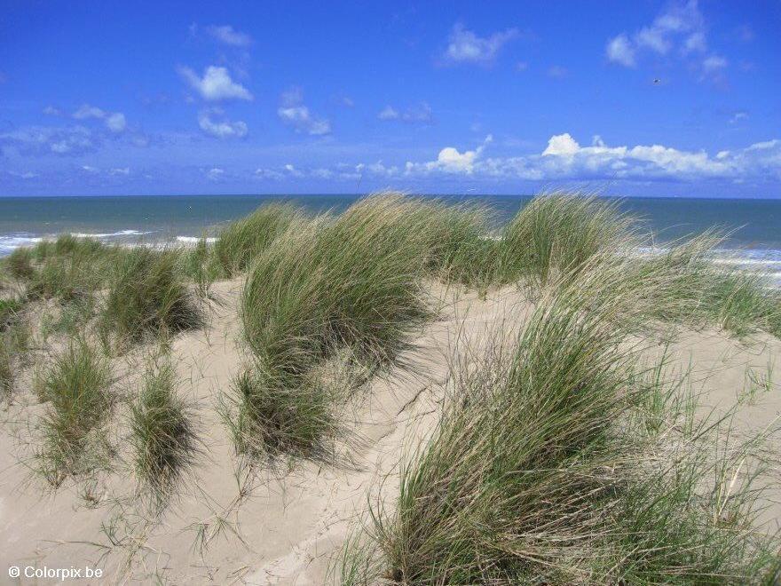 dA¼nen und meer Foto dA¼nen und meer