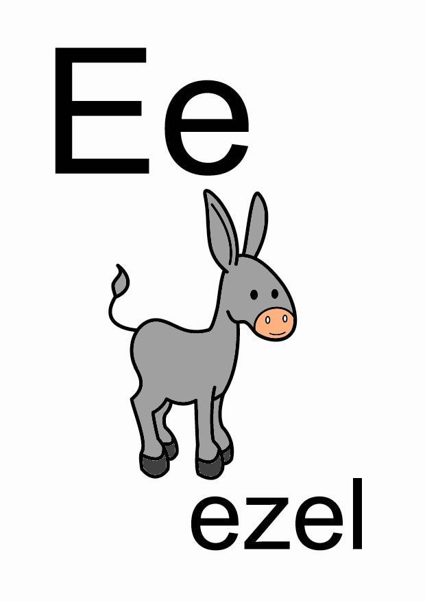 e Bild e