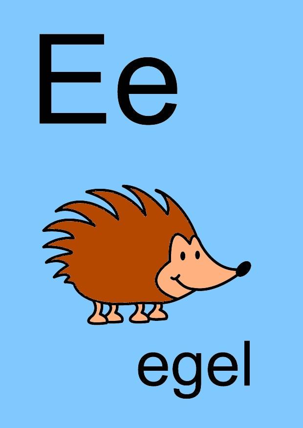 e Bild e