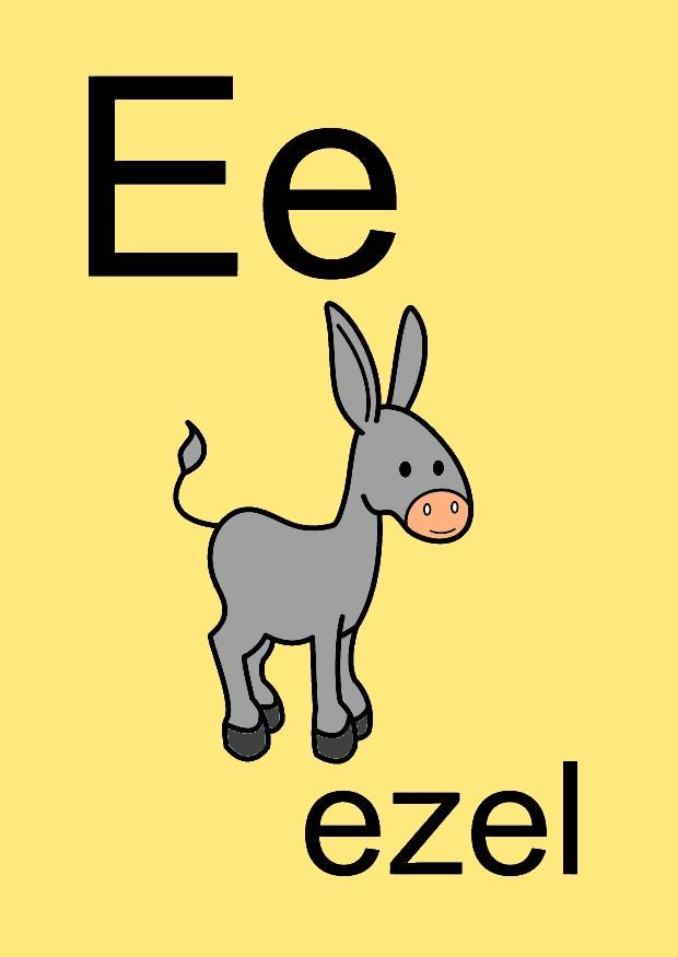 e Bild e
