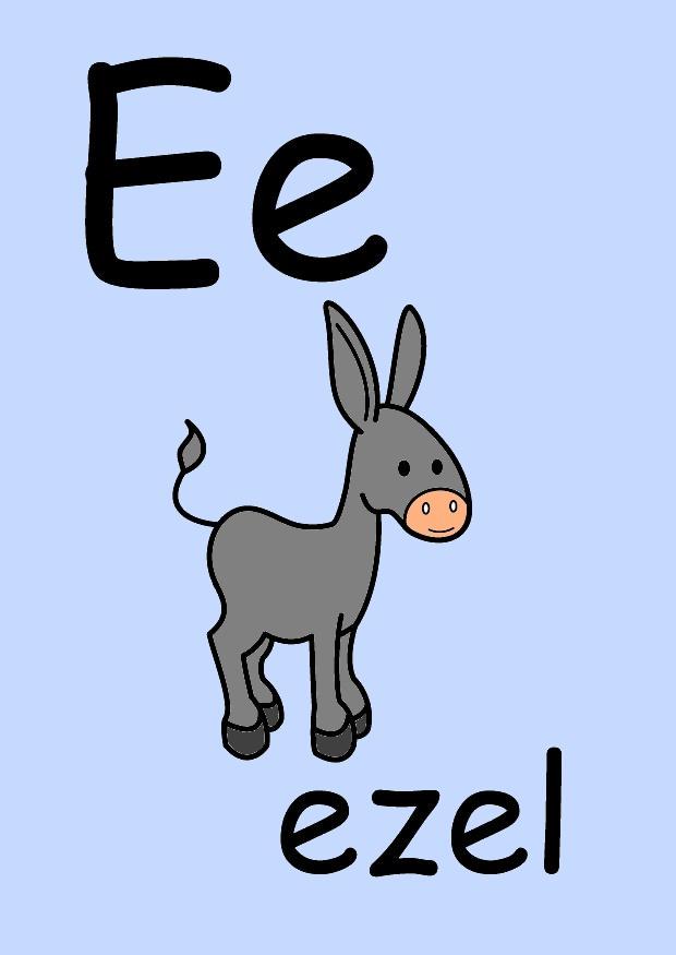 e Bild e