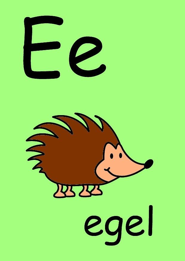 e Bild e