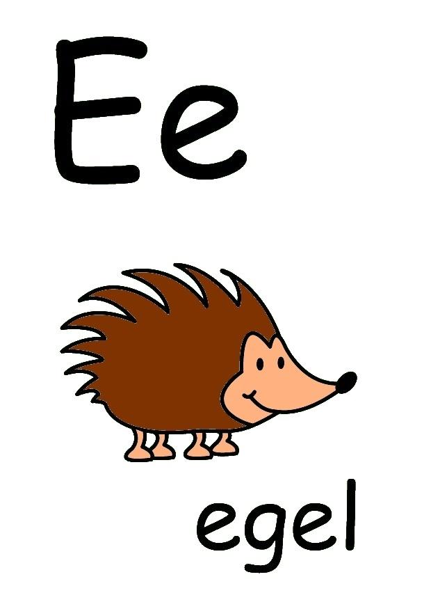 e Bild e
