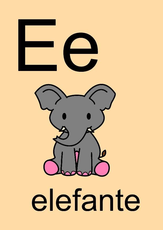 e Bild e