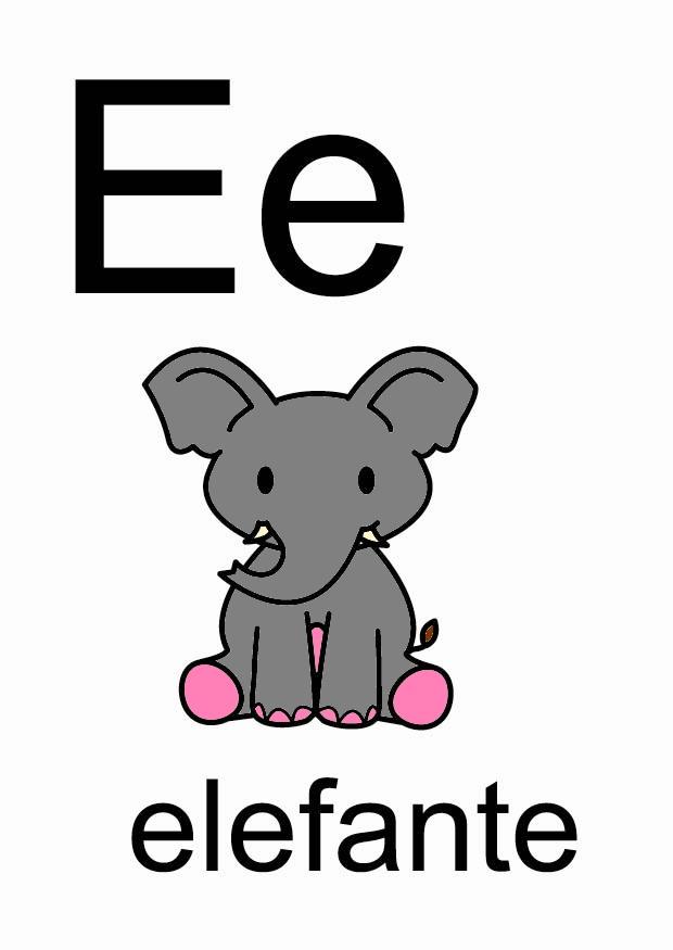 e Bild e
