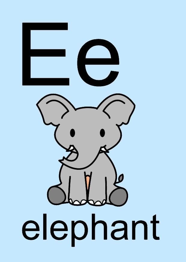 e Bild e