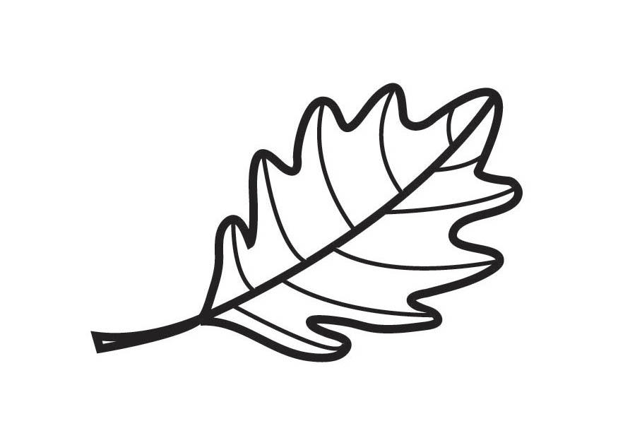 eichenblatt Malvorlage eichenblatt
