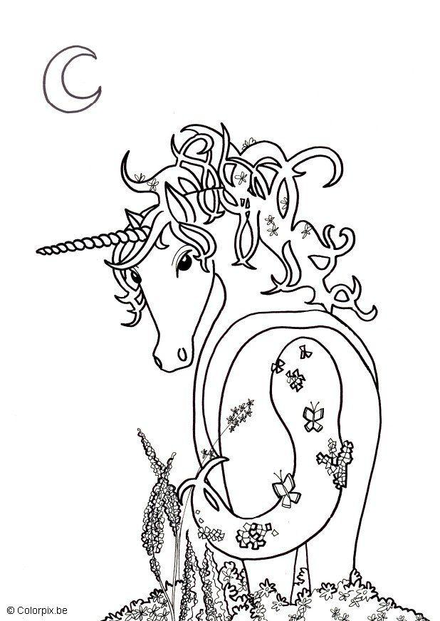 einhorn Malvorlage einhorn
