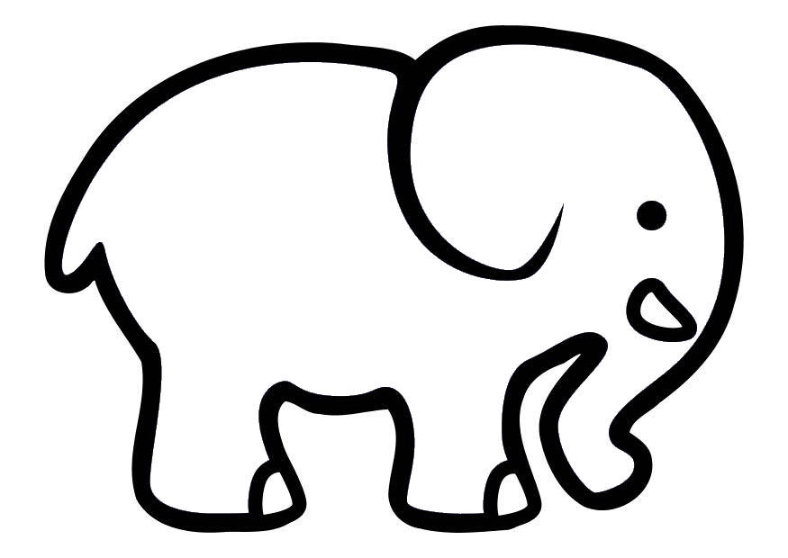 elefant Malvorlage elefant