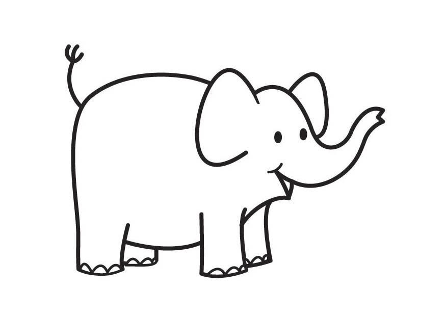 elefant Malvorlage elefant