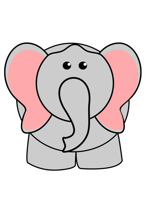 Bild elefant