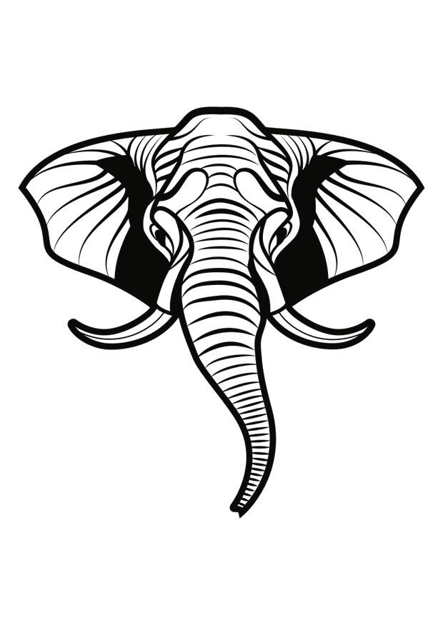 elefant Malvorlage elefant