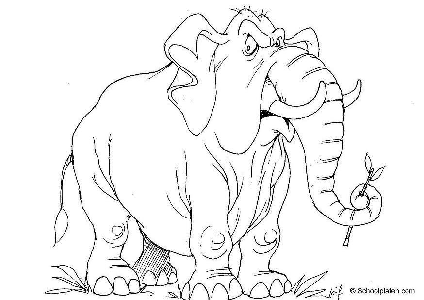 elefant Malvorlage elefant
