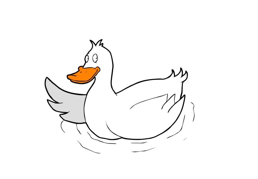 ente Bild ente