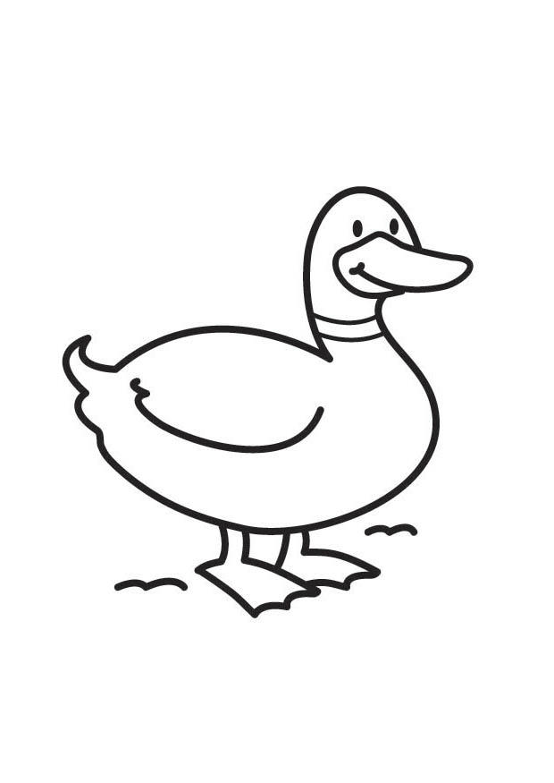 ente Malvorlage ente