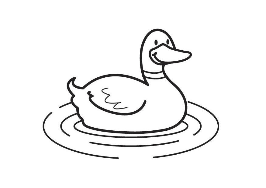 ente Malvorlage ente