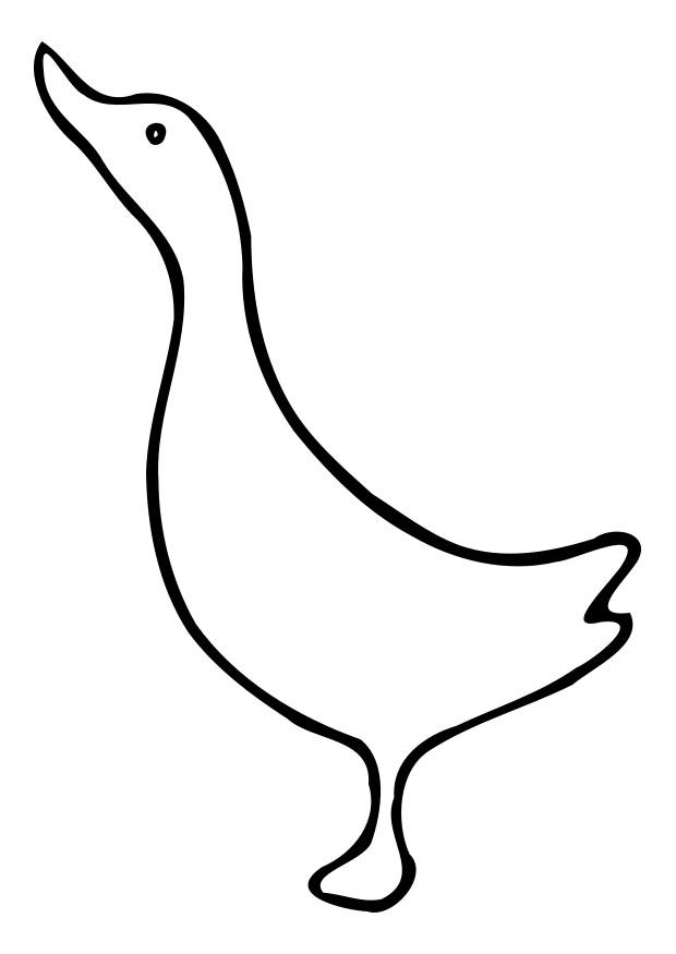 ente Malvorlage ente