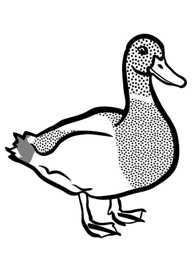 Malvorlage ente