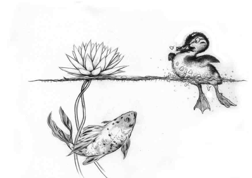 ente und fisch Malvorlage ente und fisch