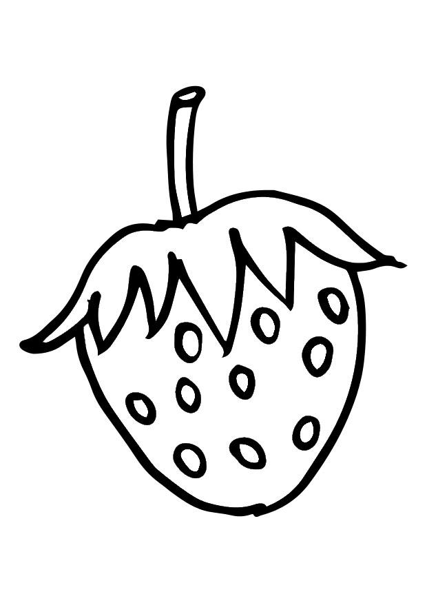 erdbeere Malvorlage erdbeere